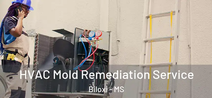  HVAC Mold Remediation Service Biloxi - MS