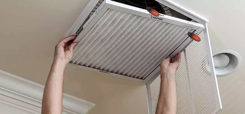 Our Insect Removal from Air Ducts Services in Biloxi, MS