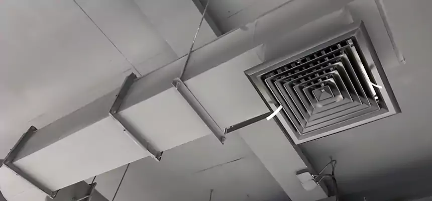 Our Pest Removal From Ducts Services in Biloxi, MS