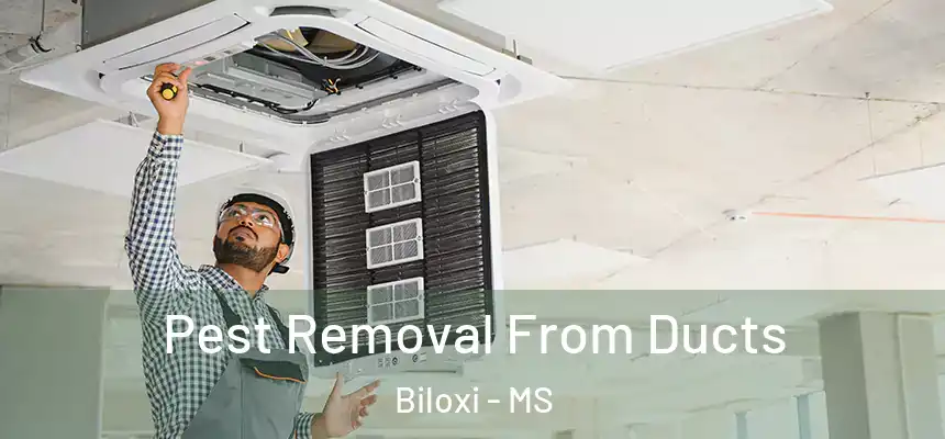  Pest Removal From Ducts Biloxi - MS