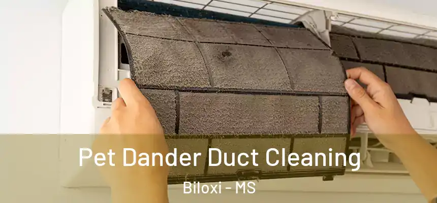  Pet Dander Duct Cleaning Biloxi - MS