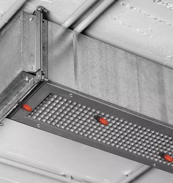 Affordable Insect Removal from Air Ducts in Biloxi, MS
