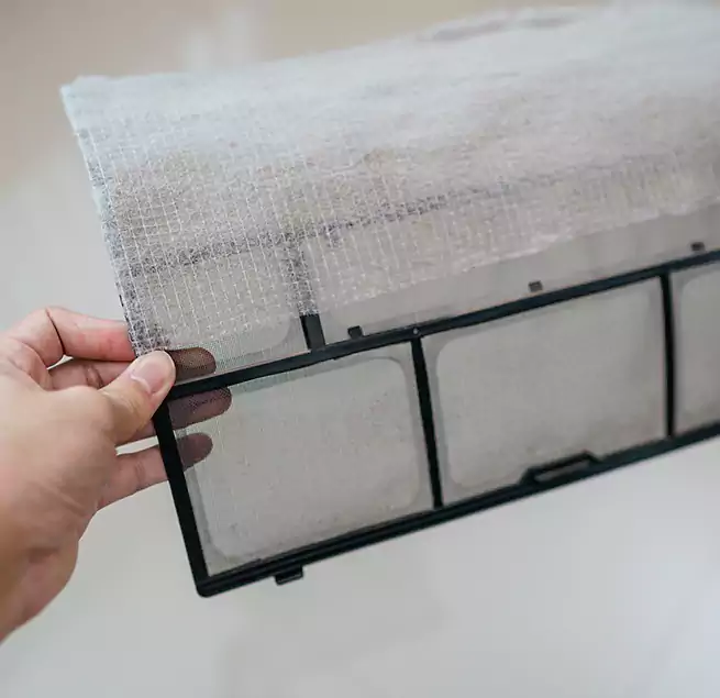 Why Homeowners & Businesses Trust Us in Biloxi, MS?