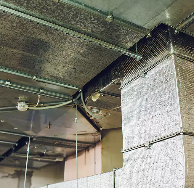 Why Homeowners & Businesses Trust Us in Biloxi, MS?